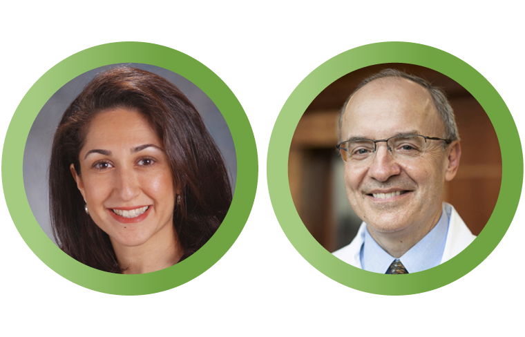 Partow Kebriaei, MD, and Michael Pulsipher, MD